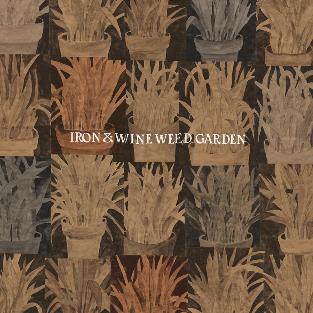 Tabs - Autumn Town Leaves - Iron & Wine