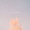 Tabs - Beauty in the Light - Acoustic - Hollow Coves