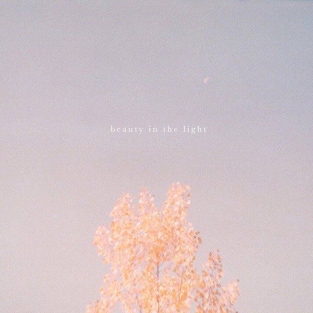 Tabs - Beauty in the Light - Acoustic - Hollow Coves